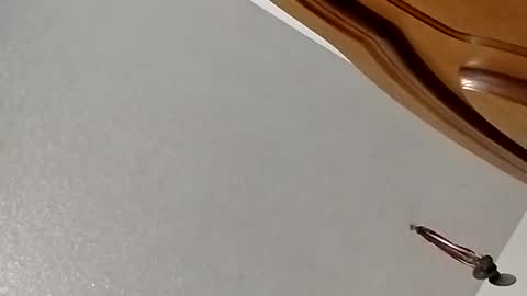 nightnightlol online show from February 11, 3:08 pm