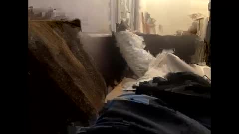 Nijinsky11 online show from January 19, 1:32 am