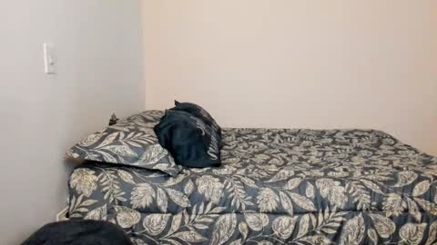  Nina  online show from November 19, 7:45 pm