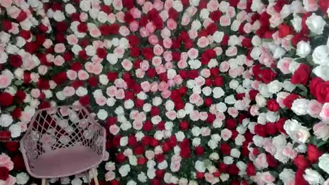 Snapshot of nina_ponse chatting on March 12, 11:12 pm Natalia online show from March 12, 11:12 pm