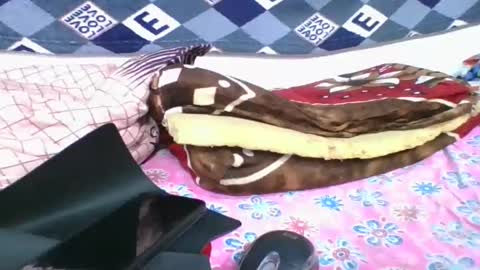 ninie246746 online show from March 13, 11:02 am