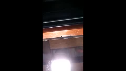 nj695457 online show from December 4, 11:10 am