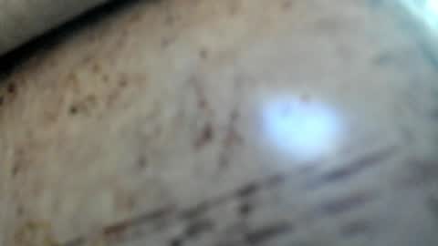 Noah online show from January 29, 7:15 am