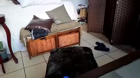 nobudget06 online show from February 25, 11:04 pm