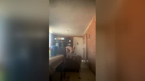 noecervantes232834905 online show from April 28, 9:08 pm