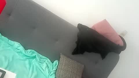 norehg_ online show from February 2, 6:53 pm