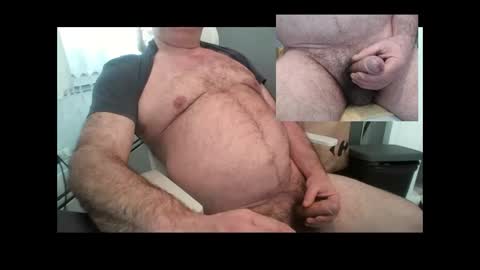 sweet bear online show from April 21, 9:16 am