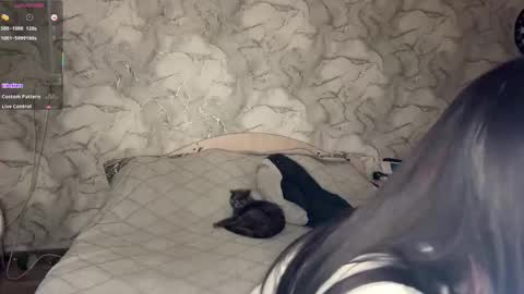 Amelia online show from February 5, 8:29 am