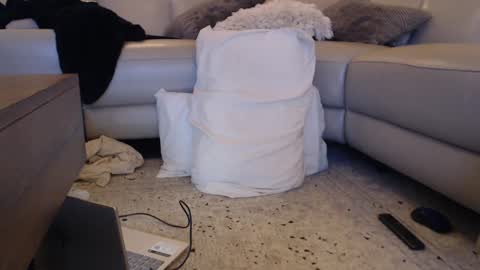 ocutlass1980 online show from October 3, 2:21 am