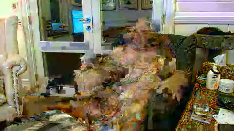 Ohjonny online show from November 27, 9:17 am