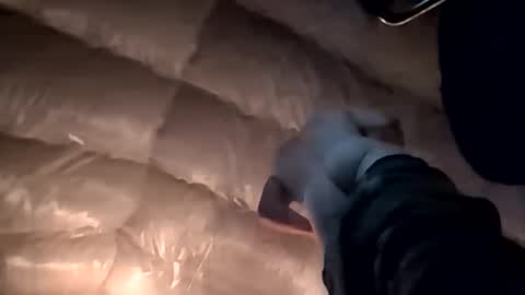 oibrev49 online show from April 2, 9:16 am