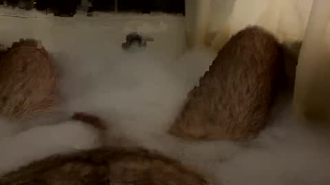 oldbones2 online show from October 9, 2:06 am