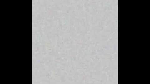 Olivia online show from March 29, 7:10 am