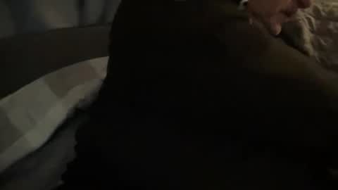 onthedlhere online show from December 24, 12:00 am