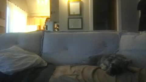 rossignol online show from February 27, 1:19 am