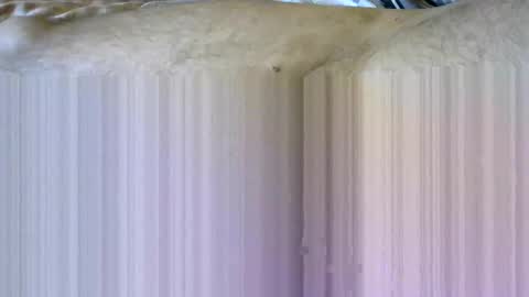 ovid77 online show from September 21, 6:39 am