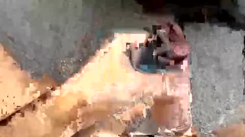 Oxo online show from February 11, 10:08 am