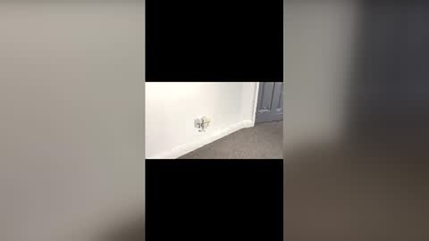 Oxo online show from February 12, 11:25 am