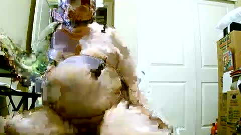 Bill online show from December 8, 1:14 pm