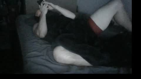 pailale online show from April 11, 11:14 am