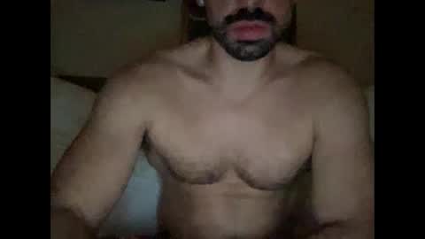 paljp online show from October 26, 7:09 am