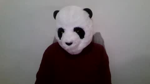 Panda online show from January 23, 12:52 pm