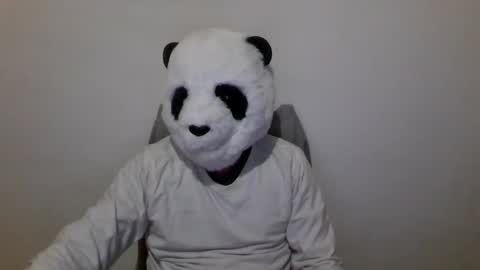Panda online show from December 6, 7:06 pm