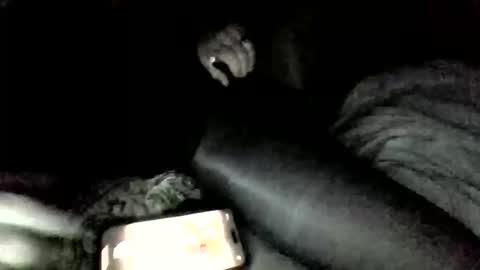 pantyhoseplay1 online show from October 5, 3:37 am