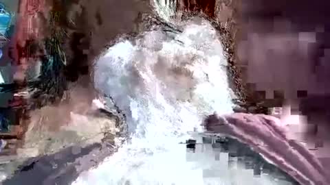 papajb70 online show from January 20, 3:26 am