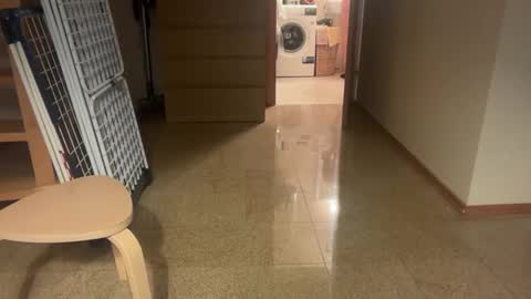 pas43 online show from November 15, 3:30 am