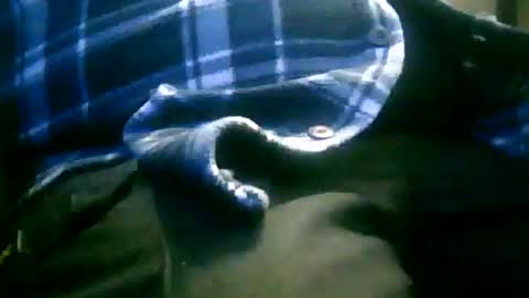 patjeooo online show from January 18, 11:30 am