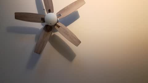 patrick247288 online show from September 9, 4:34 am