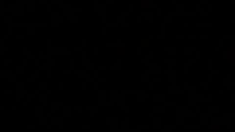 Paul online show from April 2, 7:21 pm