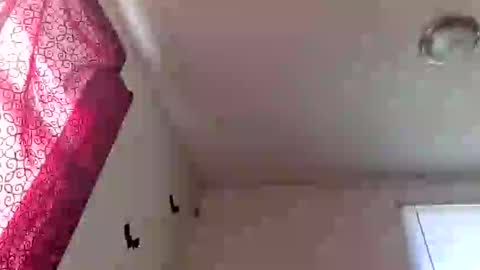 pebblessmith453 online show from January 12, 5:20 pm