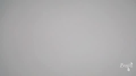 Penils online show from March 17, 7:52 pm