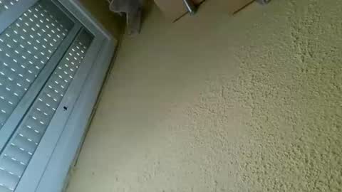 perales_12345 online show from April 19, 10:27 am