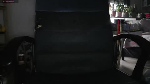 peregrintpelfox online show from February 4, 9:02 am