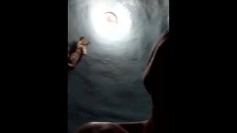 9072523824 online show from January 19, 4:46 pm