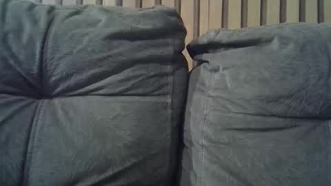 piazaocwbbb online show from September 15, 2:35 am