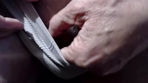 pier49x online show from February 22, 4:19 pm