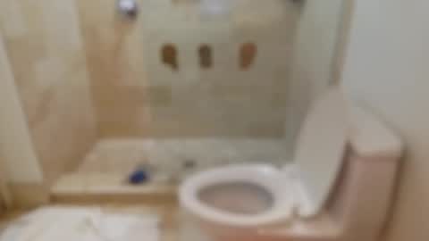 pigbear4trans online show from November 8, 11:13 am