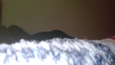 Snapshot of piperreid90 chatting on September 24, 5:03 am Piperxxx online show from September 24, 5:03 am