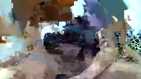 pislezg1 online show from February 7, 11:45 pm