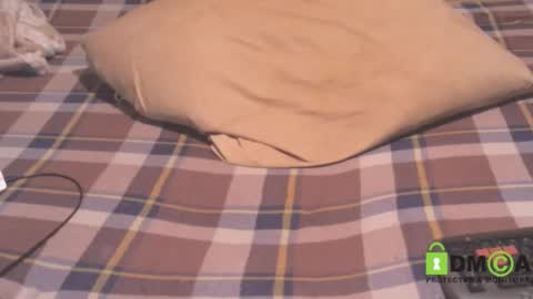 Thomas online show from January 30, 12:27 pm