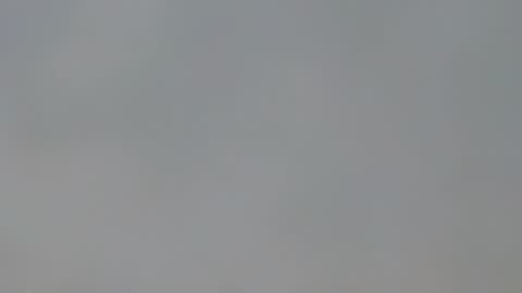 playboypetit online show from January 15, 9:41 pm