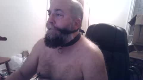 pleasurepuppt online show from December 3, 1:47 am