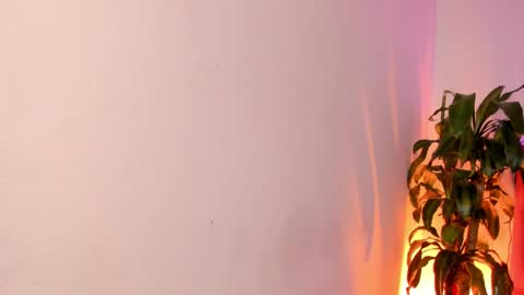 Patrocla online show from February 13, 5:11 pm