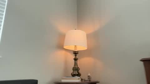 pocketnikki online show from February 17, 9:03 pm