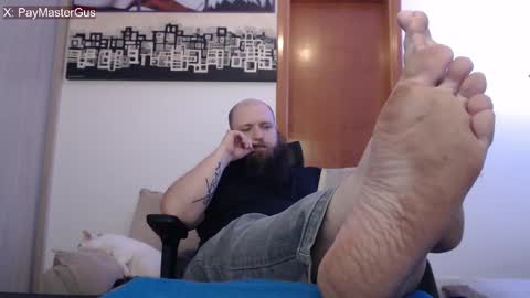 Bear online show from September 18, 1:53 am