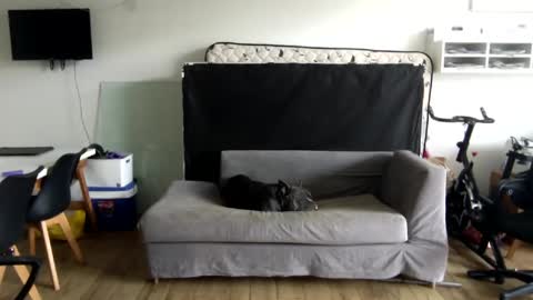 popopo0 online show from January 28, 5:24 pm